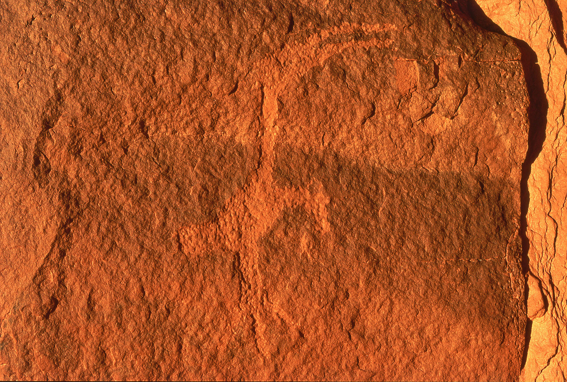 Shaman bird petroglyph, John Annerino, Monument Valley Navajo Tribal Park, Utah-Arizona