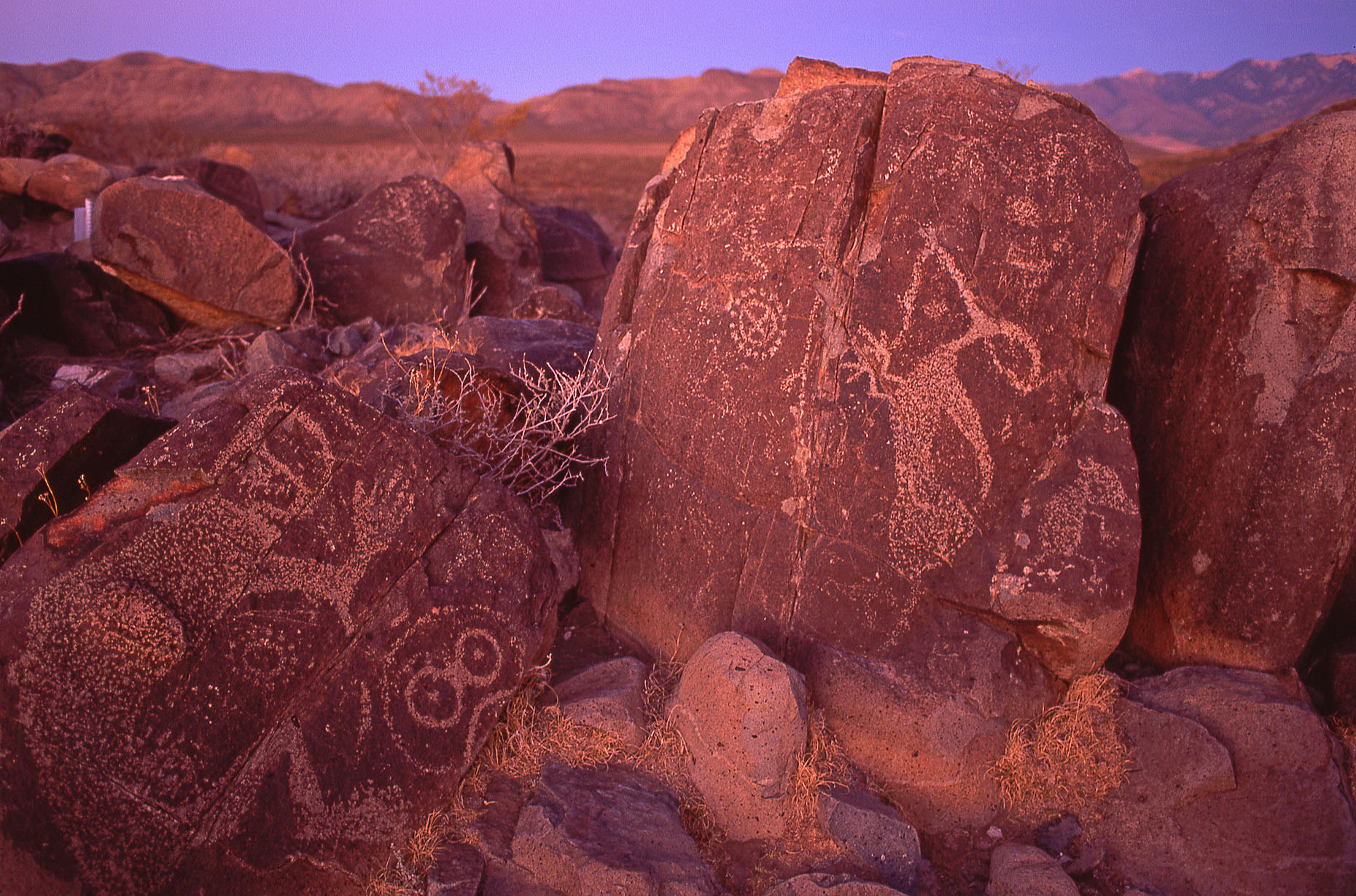 Storyteller rocks, John Annerino, Three Rivers Petroglyph Site, NM, Prehistoric Jornada Mogollon petroglyphs