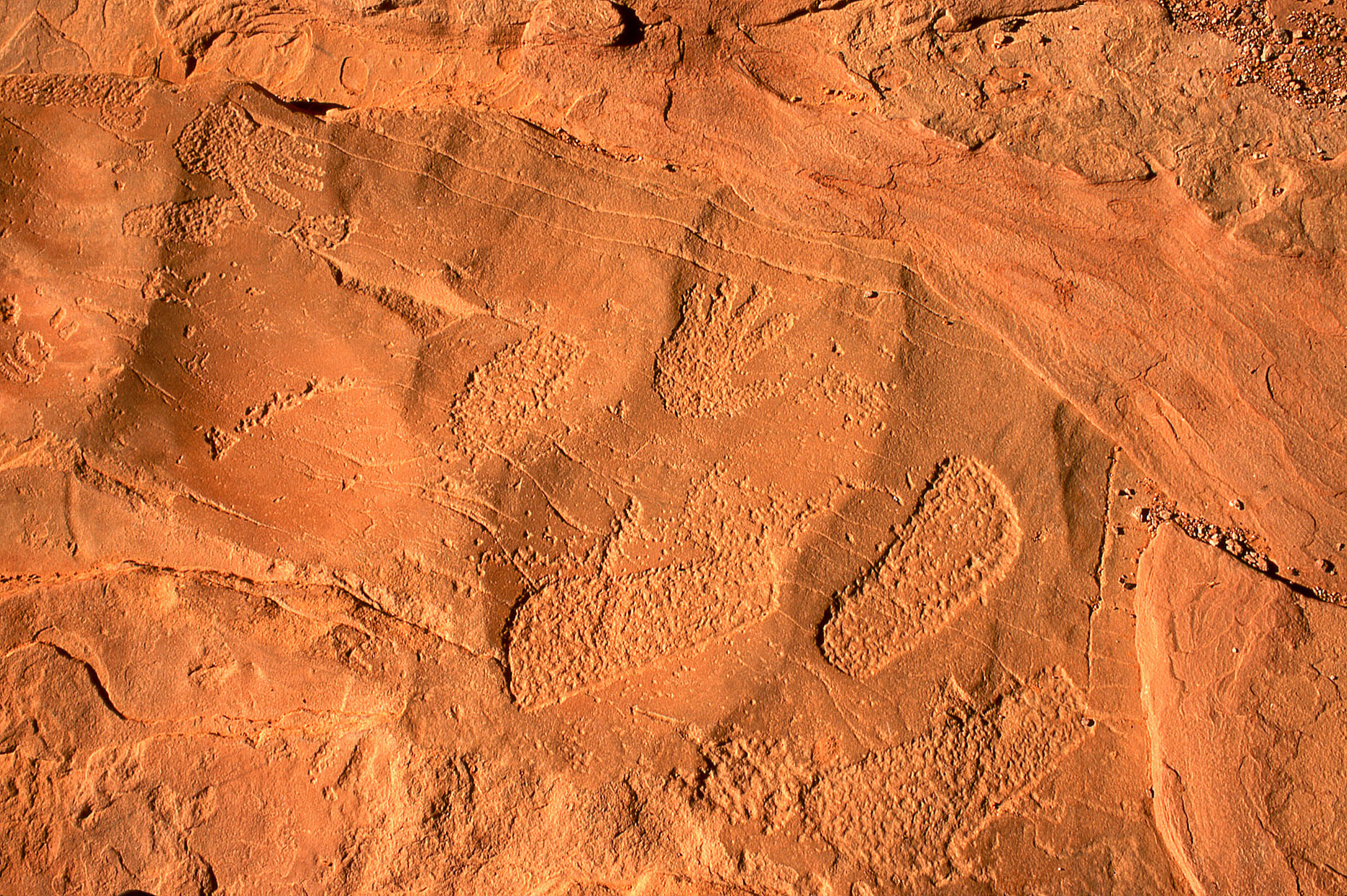 Cave floor petroglyphs, John Annerino, Monument Valley Navajo Tribal Park, Utah-Arizona