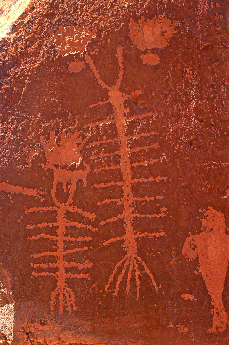 Centipede petroglyphs, John Annerino, Kings Bottom, Colorado River, UT, Fremont-Anasazi
