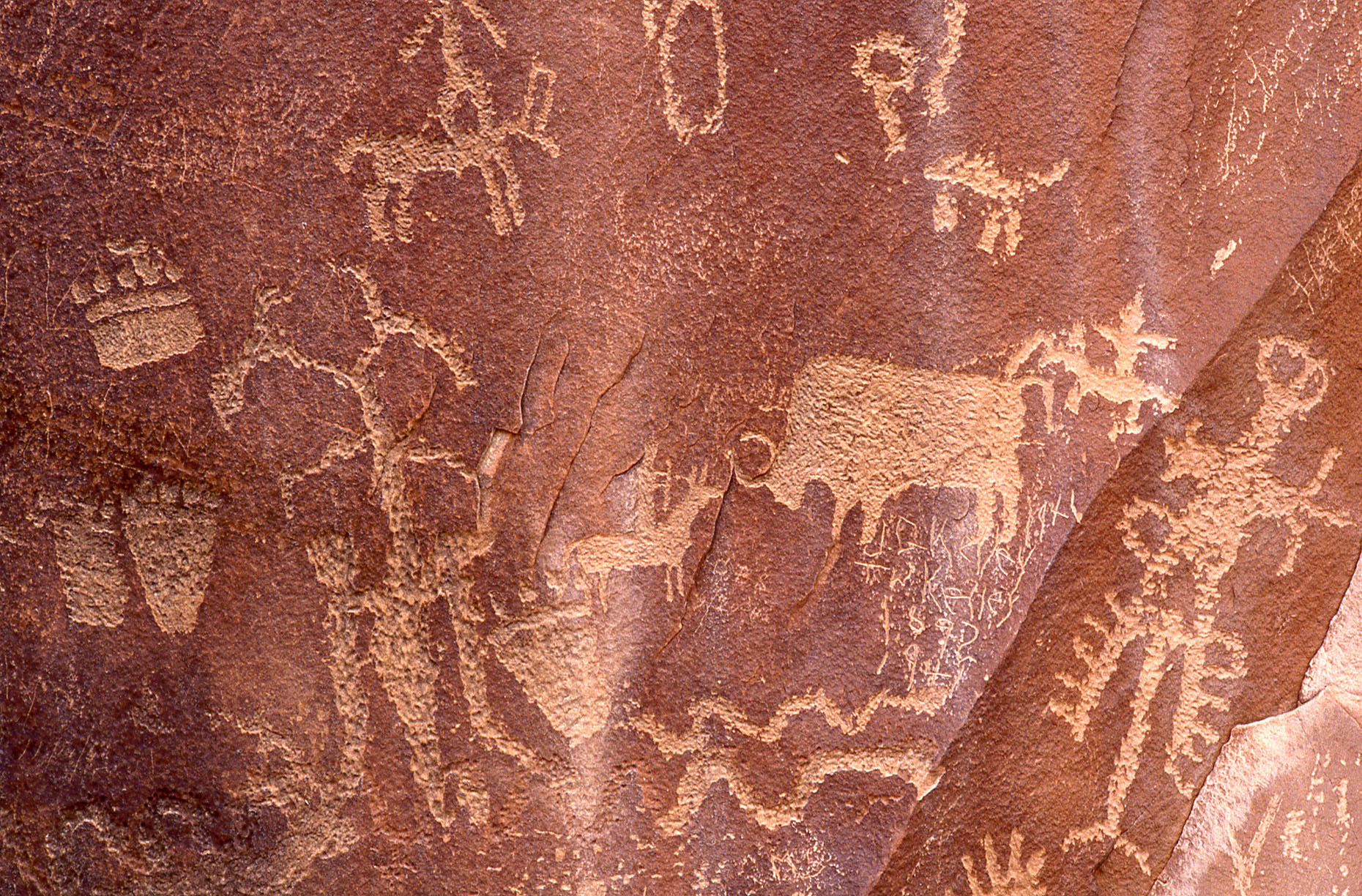Petroglyphs, John Annerino, Newspaper Rock State Historic Monument, UT