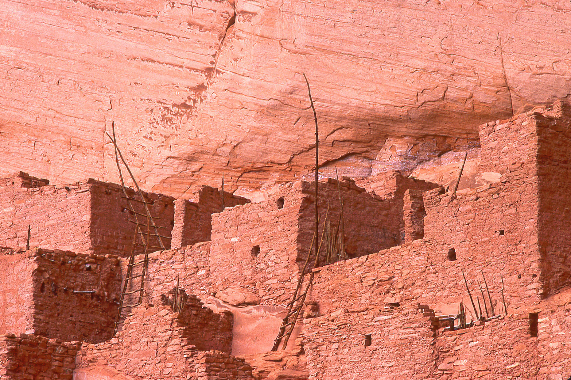 Betatakin cliff dwelling, John Annerino, Navajo National Monument, AZ