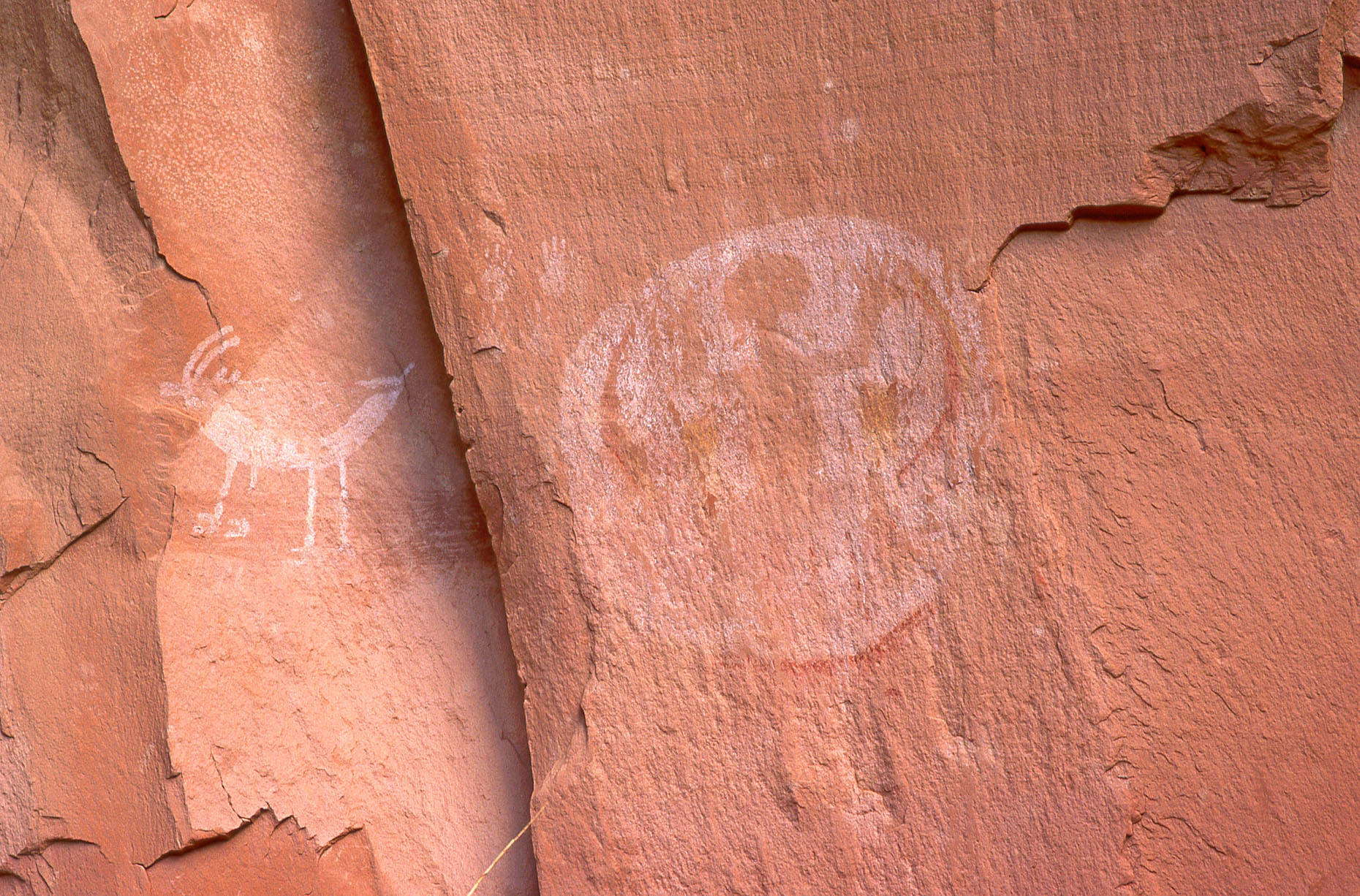 Kokopnyam, John Annerino, Hopi Fire Clan symbol, Navajo National Monument, AZ